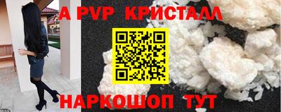 кокс Кингисепп