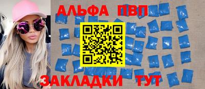 кокс Кингисепп
