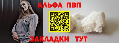кокс Кингисепп